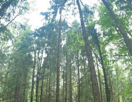 Катание на квдароциклах 2