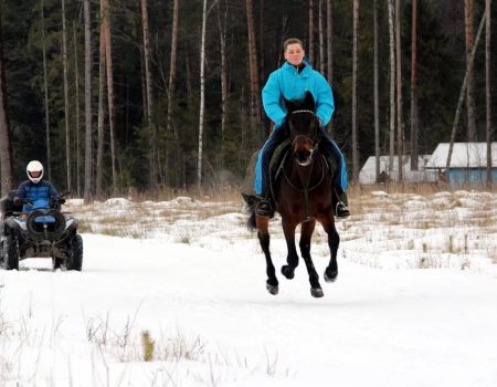 Катание на квдароциклах 87