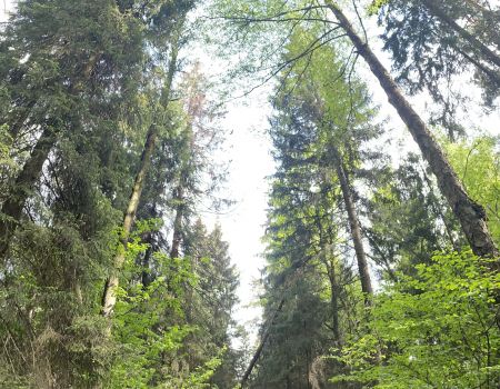 Катание на квдароциклах 42