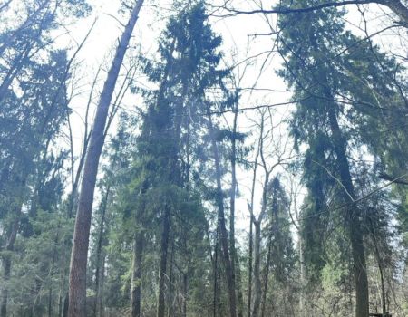 Катание на квдароциклах 29